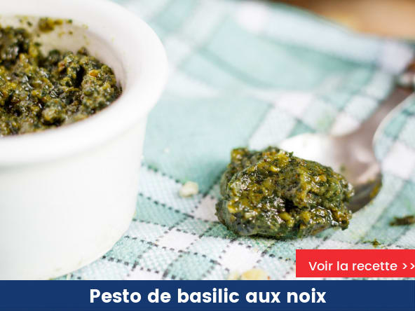 Pesto de basilic aux noix